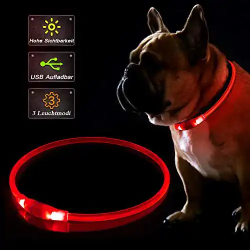 Leuchthalsband für Hunde KABB LED, USB wiederaufladbar und wasserdicht
