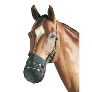Fressbremse für Pferde – PF Reitsport Maulkorb in Größe Cob