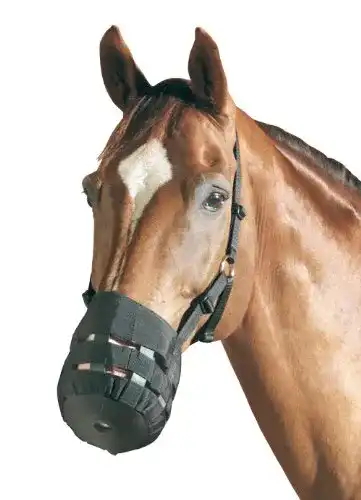 Fressbremse für Pferde – PF Reitsport Maulkorb in Größe Cob