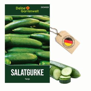 Gurken-Samen für Salatgurke Tanja – Cucumis sativus
