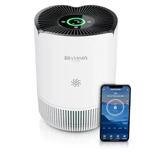 Viren-Luftreiniger Brandson 60 qm mit WLAN für Allergiker