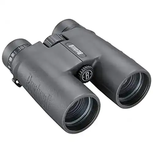 Bushnell Fernglas 10×42 Pacifica – kompakt und robust