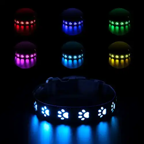 Hunde Leuchthalsband Ankilo LED Sichtbare Sicherheit für Hunde