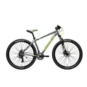 Mountainbike bis 500 Euro Adriatica 29 Zoll Wing RCK 21