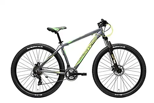 Mountainbike bis 500 Euro Adriatica 29 Zoll Wing RCK 21