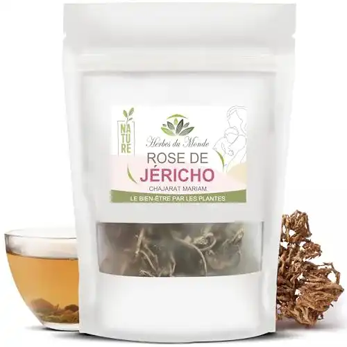 Rose von Jericho – 25g Chajarat Mariam für Fruchtbarkeit und Gesundheit