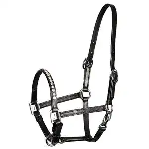 Fohlenhalfter Harry’s Horse für Ponys und Fohlen aus Leder