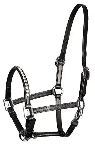 Fohlenhalfter Harry’s Horse für Ponys und Fohlen aus Leder