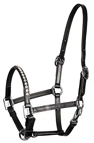Fohlenhalfter Harry’s Horse für Ponys und Fohlen aus Leder