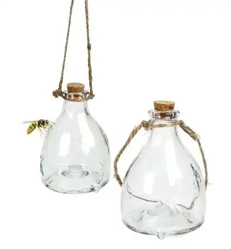 Kinzo Glas Wespenfalle 2er Set mit Aufhänger Befüllbar und Chemiefrei