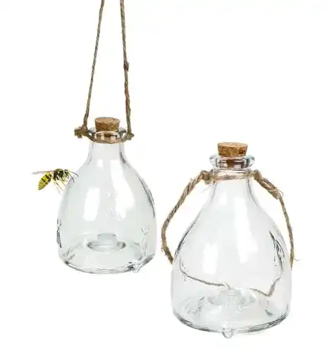Kinzo Glas Wespenfalle 2er Set mit Aufhänger Befüllbar und Chemiefrei