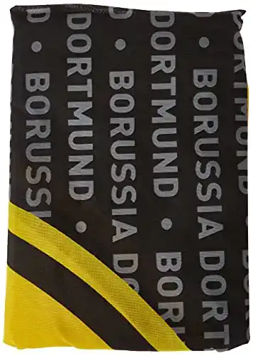BVB Hissfahne Borussia Dortmund 250×150 cm im Großformat