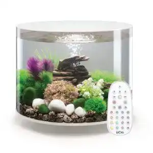 Rundes Aquarium Biorb, 35 Liter mit LED-Beleuchtung