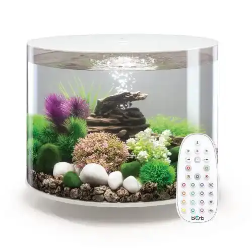 Rundes Aquarium Biorb, 35 Liter mit LED-Beleuchtung