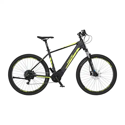 Fischer E-Mountainbike 29 Zoll MONTIS 5.0i für Damen und Herren