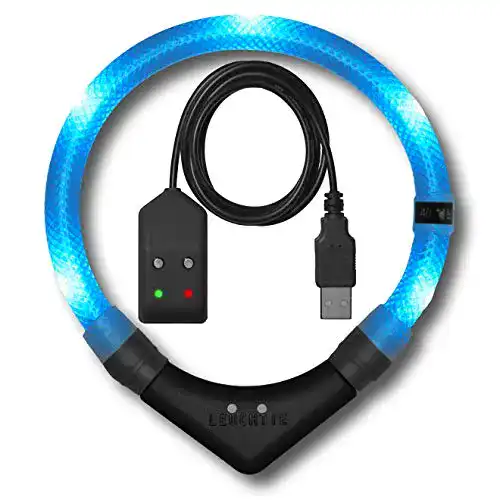 Leuchthalsband für Hunde mit USB-Ladefunktion von Leuchtie