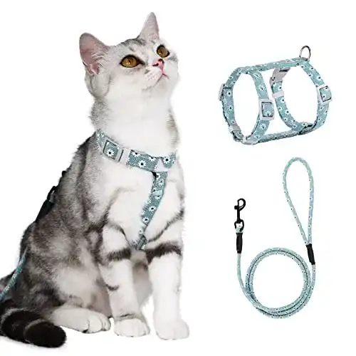 Katzengeschirr Kitten Pettom mit Blumenmuster und Leine für Katzen