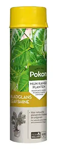 Blattglanzspray Pokon 2er Set 600ml für Pflanzenpflege