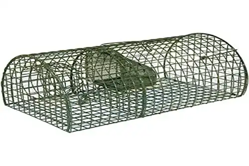 Lebendfalle Kerbl 299620 für Ratten, halbrund, Massenfänger