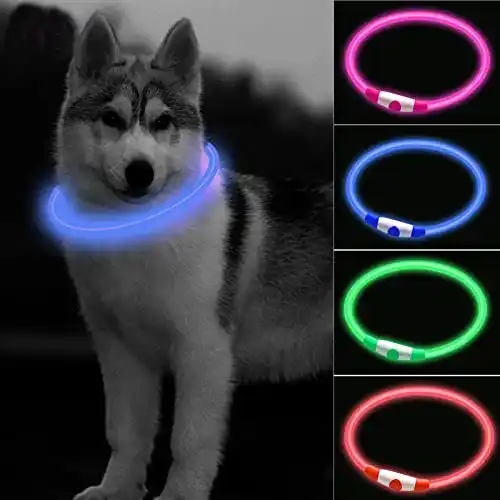 Leuchthalsband für Hunde mit LED und USB-Akku