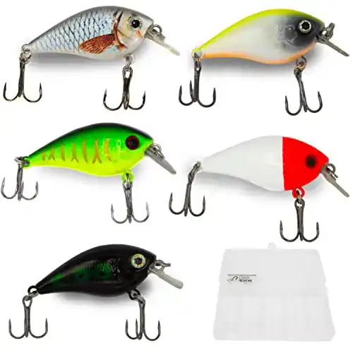 Barsch Wobbler Set mit 5 Crank-Baits für Raubfischangeln