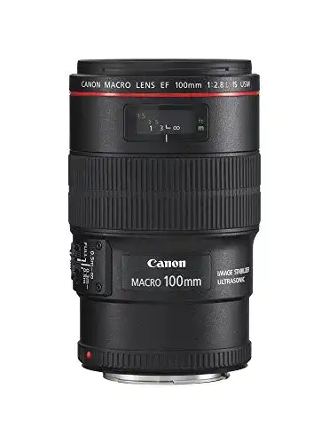Makroobjektiv Canon EF 100mm F2.8 L IS USM für präzise Aufnahmen