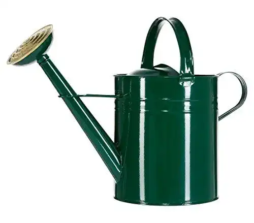 Gießkanne 9 Liter von Dehner im nostalgischen Design aus Zink, grün