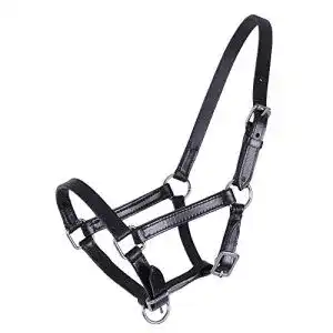 Fohlenhalfter QHP Lederhalfter Chico in Beige und Schwarz