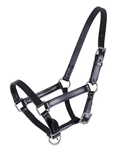 Fohlenhalfter QHP Lederhalfter Chico in Beige und Schwarz