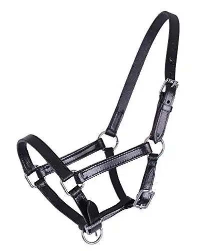Fohlenhalfter QHP Lederhalfter Chico in Beige und Schwarz