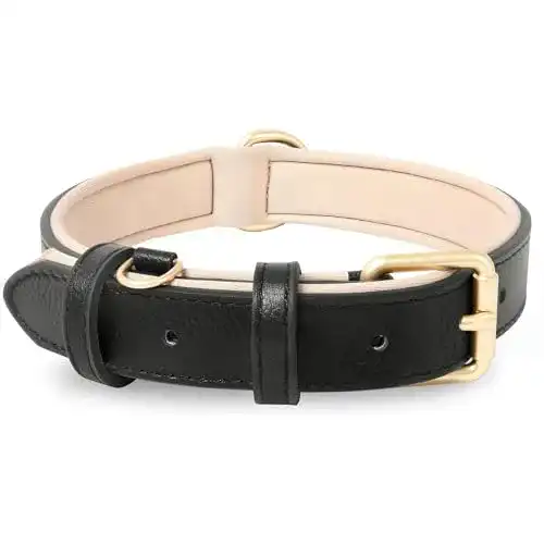 Hundehalsband für Welpen aus Leder und Neopren, verstellbar und gepolstert