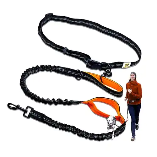 Hunde-Joggingleine für große Hunde ab 15 kg mit Freihandfunktion