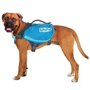 Outward Hound Kyjen 22005 DayPak Hunde-Rucksack in Größe L, Blau