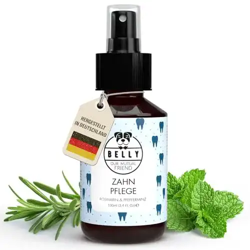 Dentalspray für Hunde Belly Dentalspray zur Zahnpflege 100 ml