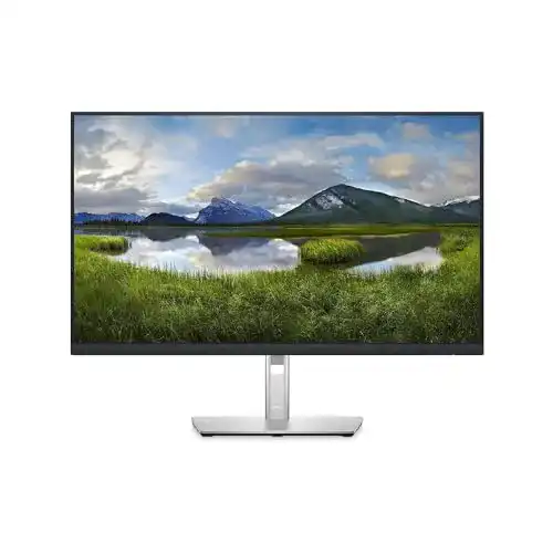 NEC Monitor Dell P2722H 27 Zoll Full HD (1920×1080)