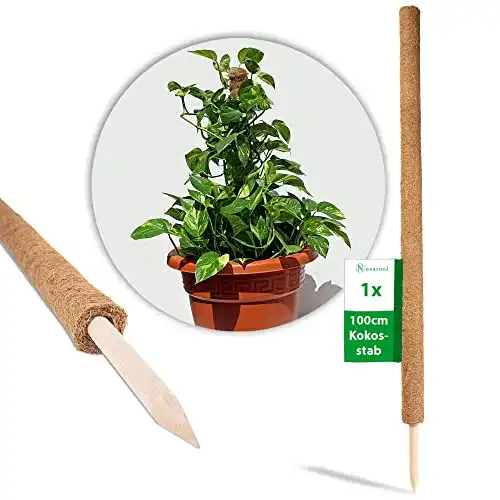 Moosstab Novatool Pflanzstab aus Kokos 110 cm verlängerbar