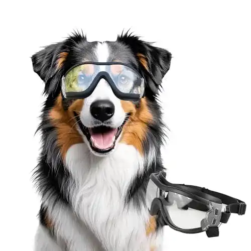 Hundebrille Namsan – Einstellbare Sonnenbrille für Hunde