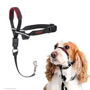 Erziehungshalsband HALTI Optifit von Company of Animals