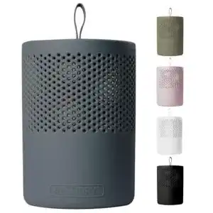 Mini-Luftentfeuchter Absodry Duo Family für Räume bis 25m²