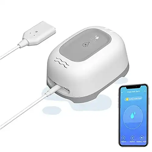 Wassermelder Jane Eyre WiFi für Smart Home