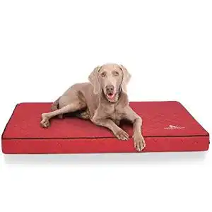 Orthopädisches Hundekissen Knuffelwuff für Hunde