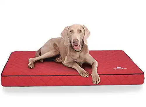 Orthopädisches Hundekissen Knuffelwuff für Hunde