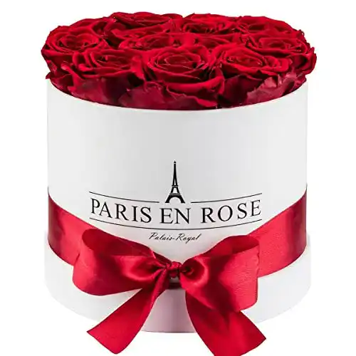Rosenbox Paris En Rose mit 14 bordeaux-roten Infinity Rosen