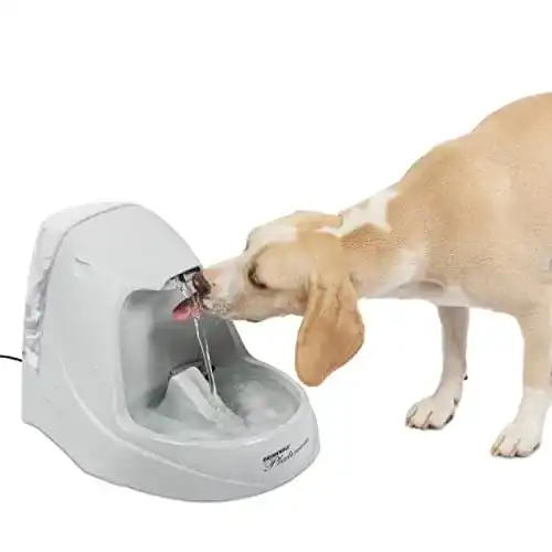 Trinkbrunnen für Hunde und Katzen von PetSafe Drinkwell, Platin, 5 L