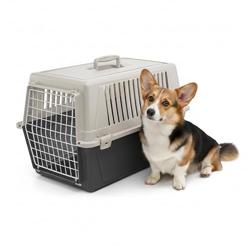 Katzentransportbox von Ferplast für kleine und mittelgroße Tiere