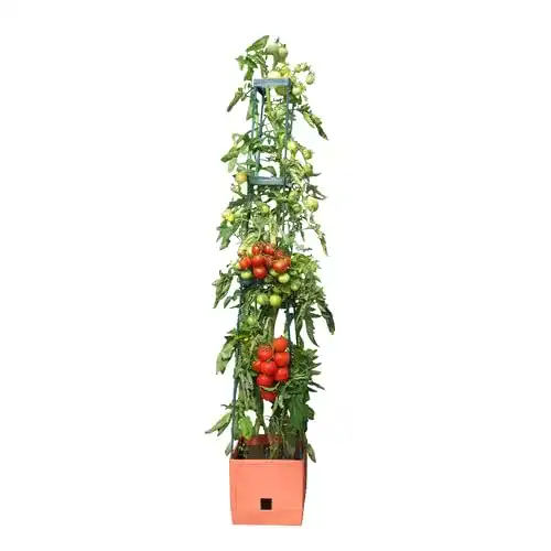 Bio Pflanzenaufzucht-Turm Maxitom mit Bewässerungssystem und Rankhilfe