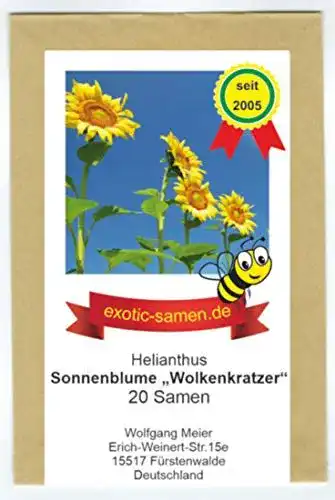 Sonnenblumen-Samen Riesen-Sonnenblume für den Garten
