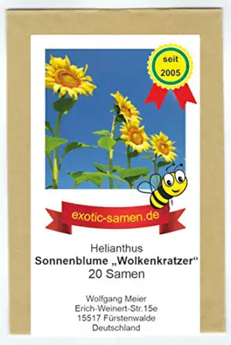 Sonnenblumen-Samen Riesen-Sonnenblume für den Garten