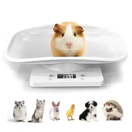 Tierwaage Guangyu Digital Haustierwaage mit LCD-Display