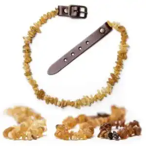 Bernstein-Halsband für Hunde mit verstellbarem Leder-Verschluss
